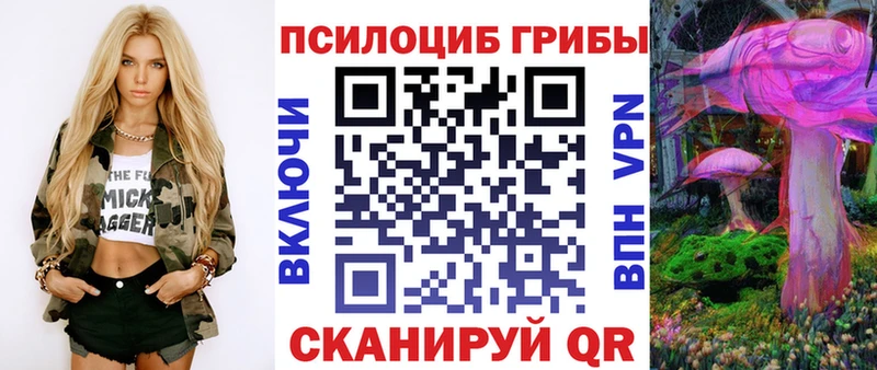 Купить где Чёрмоз Галлюциногенные грибы мицелий